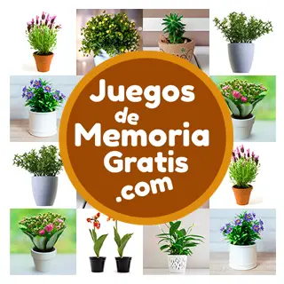 Juego de memoria para adultos y personas mayores nivel medio: Macetas