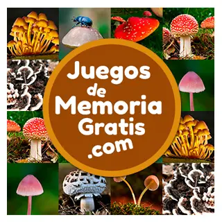 Memotest online para adultos y personas de la tercera edad: Juego de memoria gratuito con imágenes de Hongos